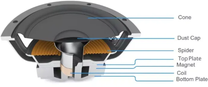 Car Speaker Anatomy